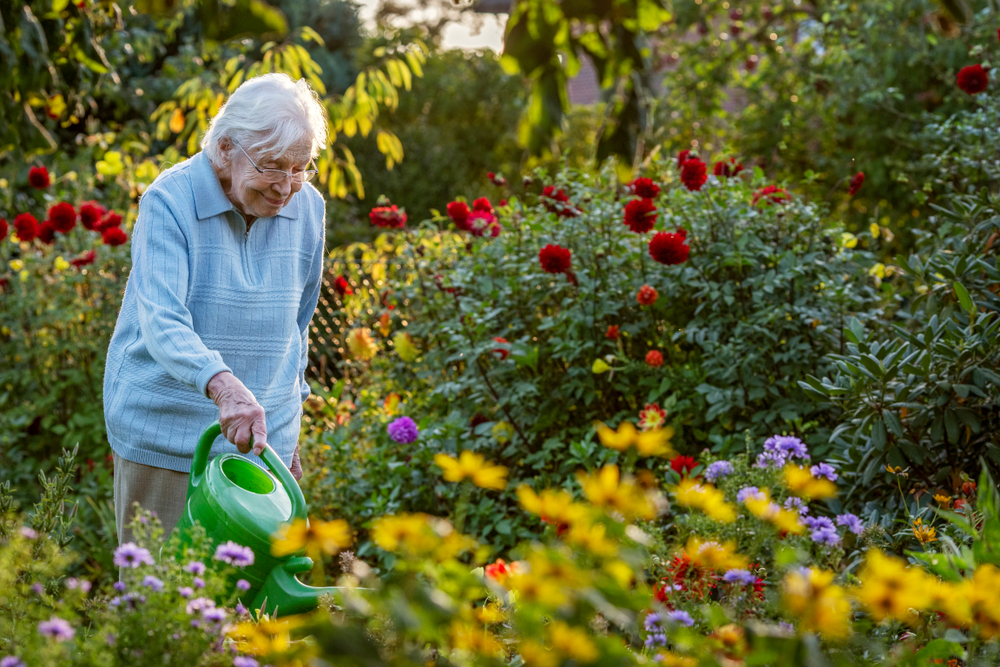 Independence and Safety: How to Find the Best Balance for Aging Adults